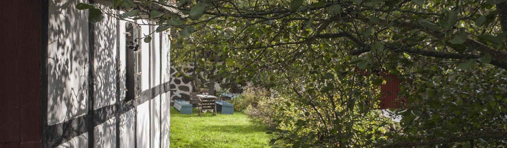 bengtemöllas vänner